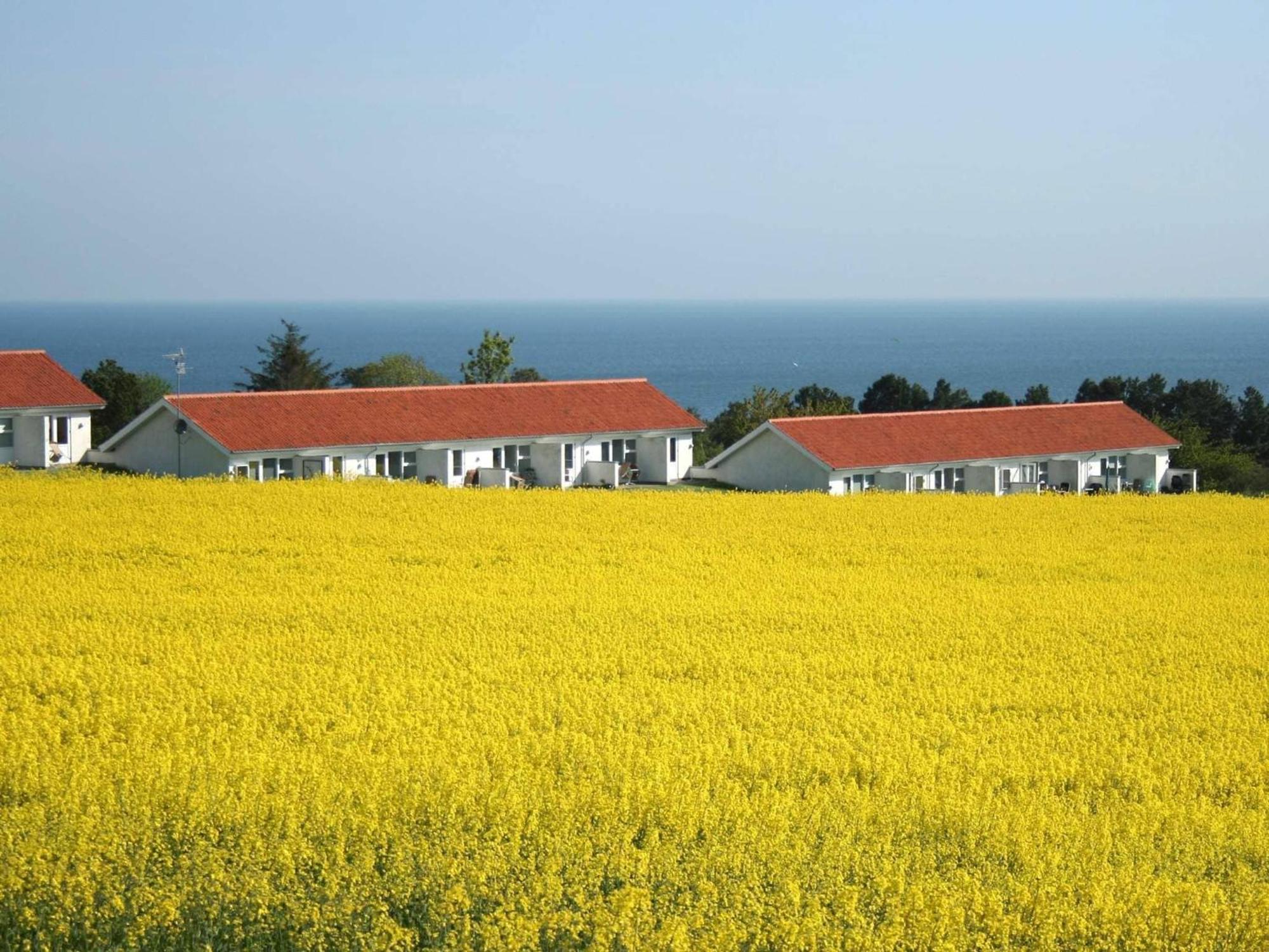 2 Person Holiday Home In Allinge Bagian luar foto